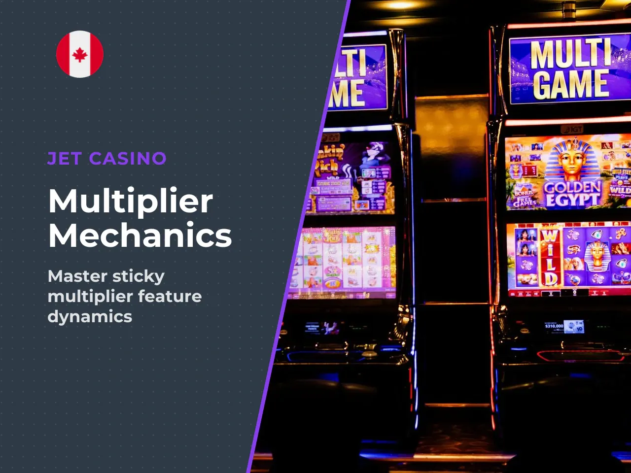 During the free spins feature, multiplier