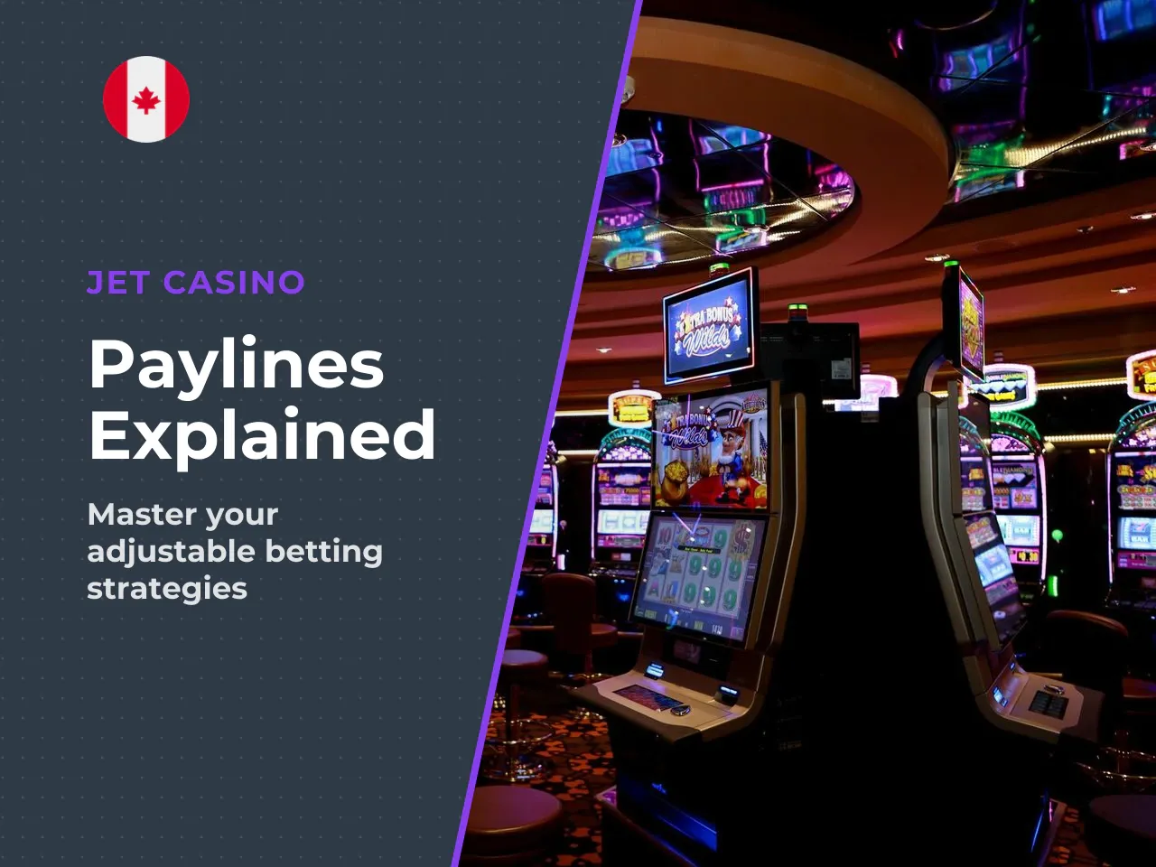 Paylines and bet range. Book of