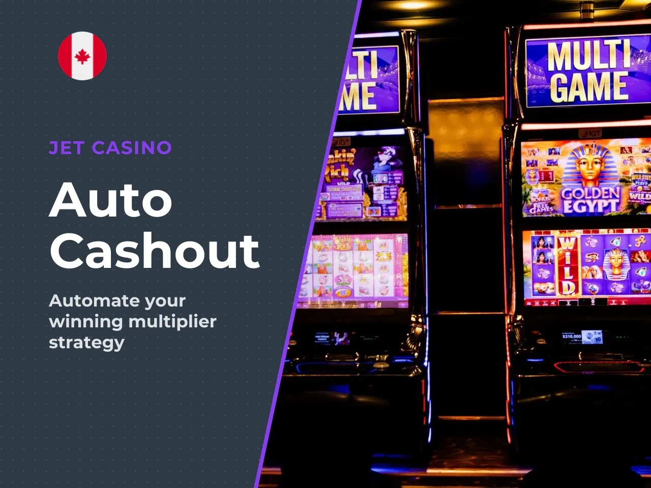 3.3. Auto Cashout and 50 Auto