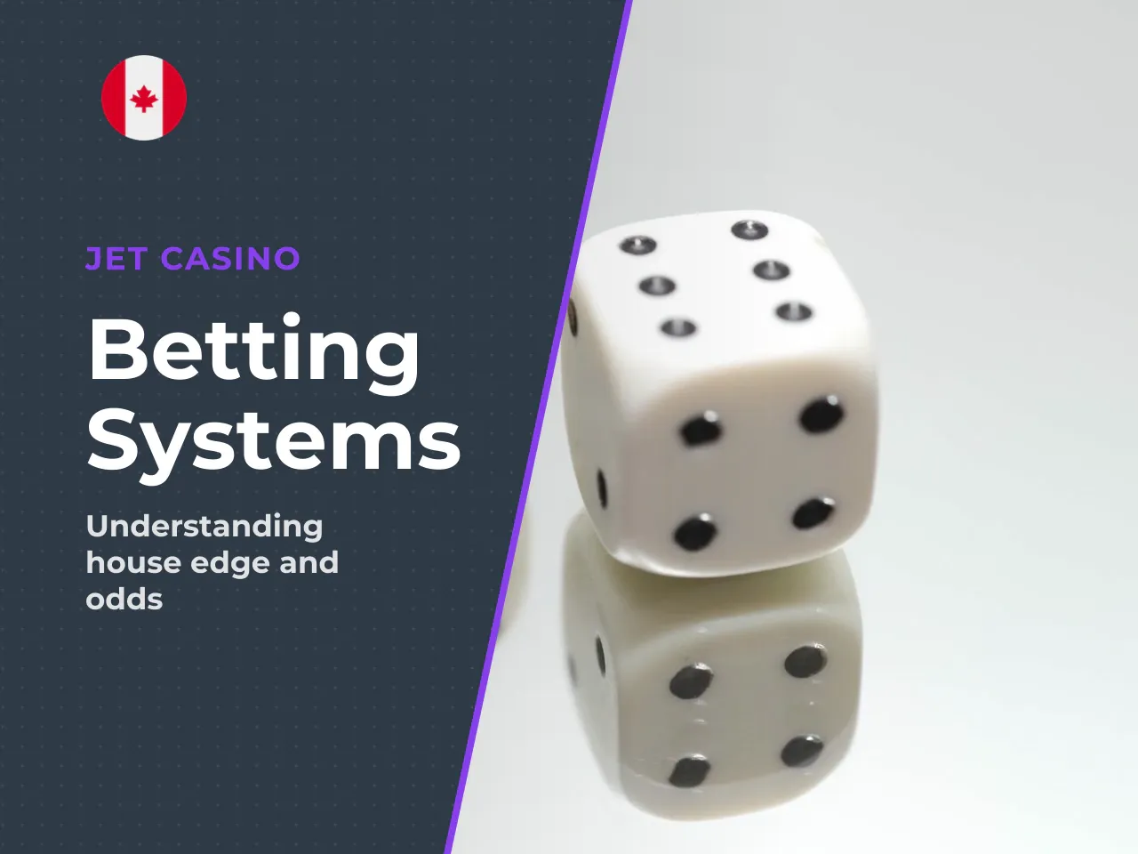 Why no betting system can beat