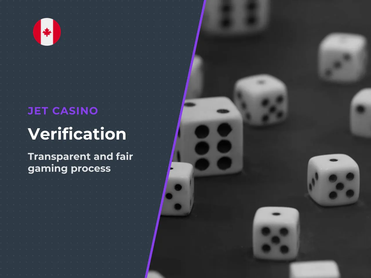 How the verification works in practice